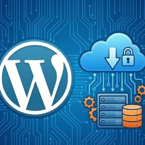woocommerce product image reflecting WordPress logo, database and server connecting to the cloud